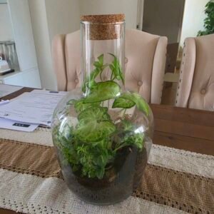 Terranium