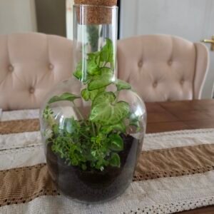 Terranium