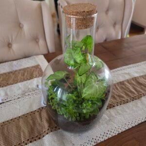 Terranium