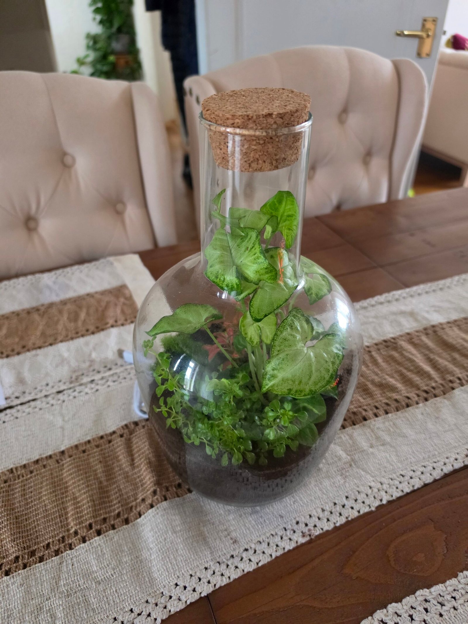 Terranium