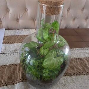 Terranium