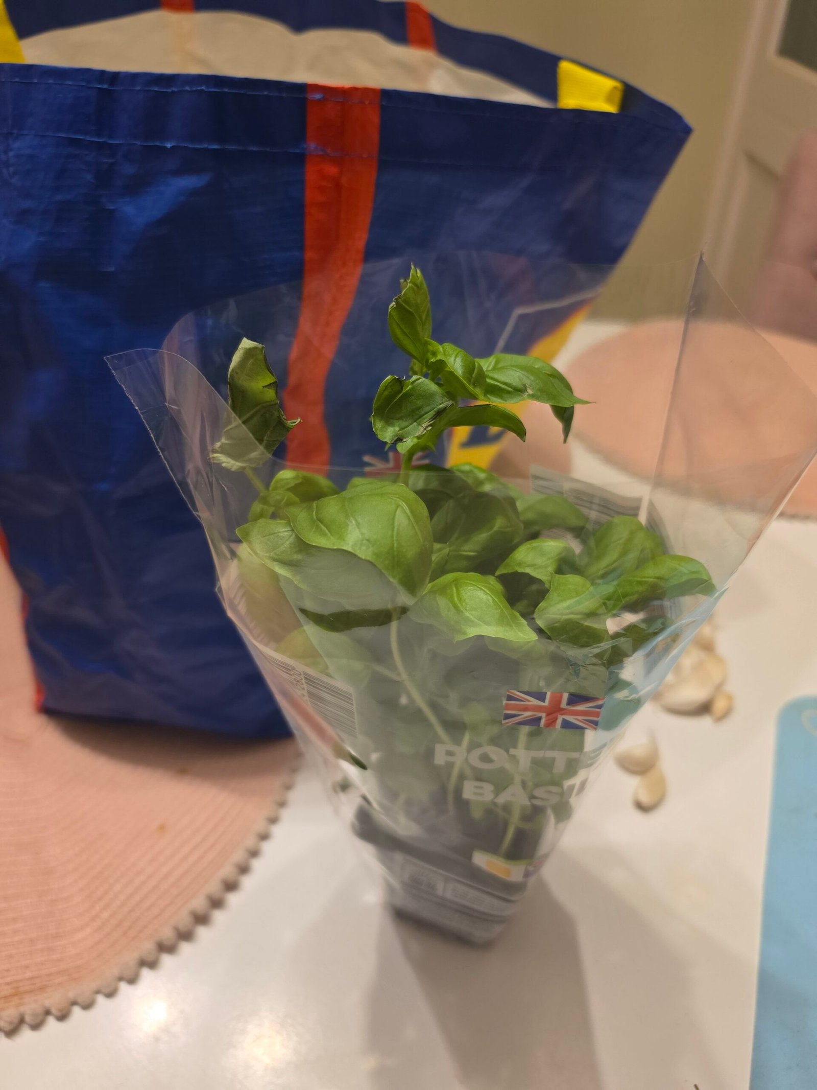 Basil Tree